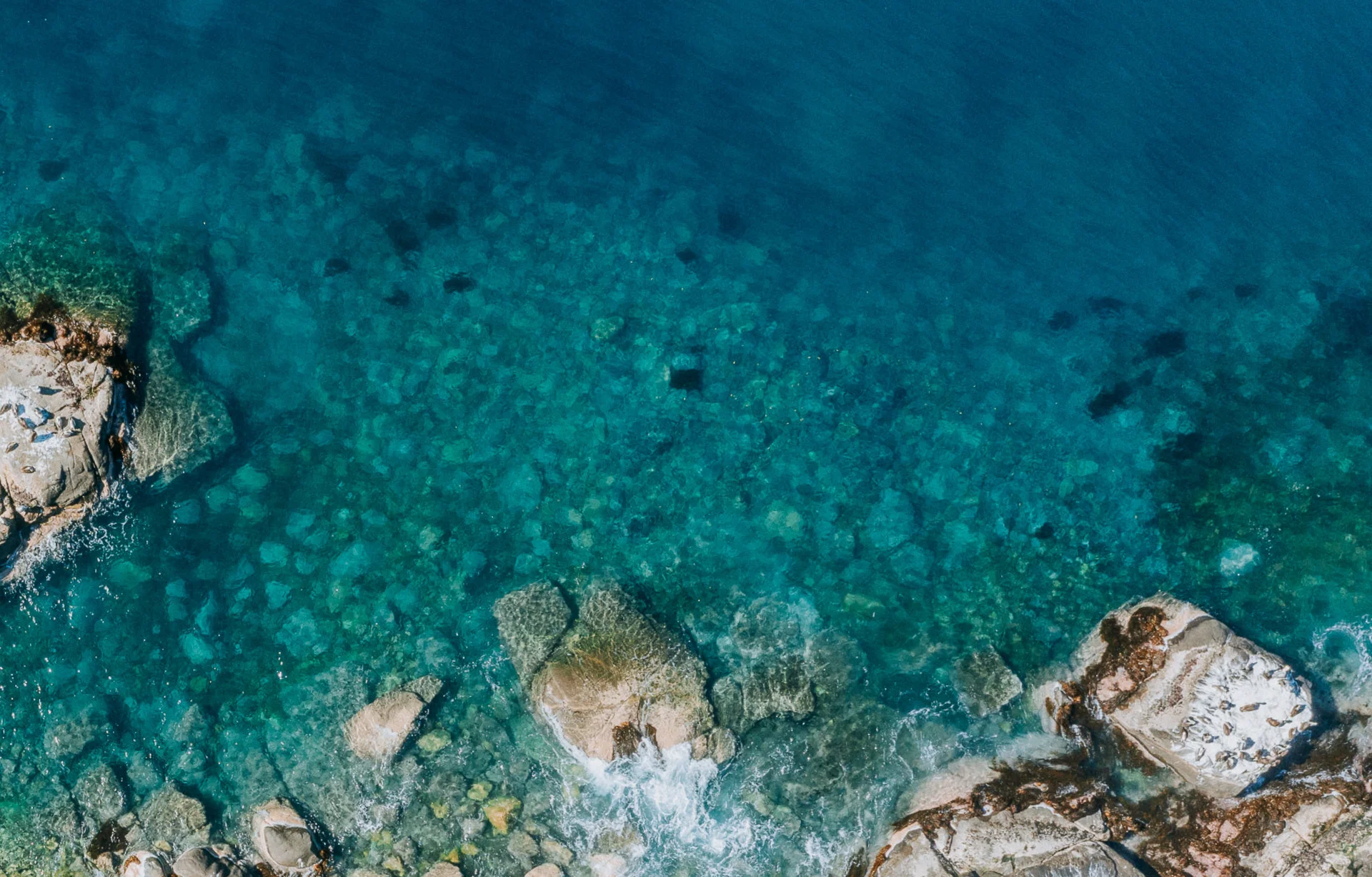 VIVE LA COSTA DE PAPUDO DESDE UN NUEVO PUNTO DE VISTA