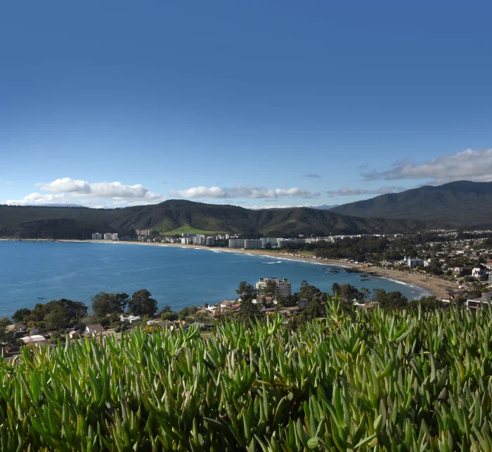 Imagen de la sección