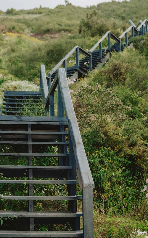 VIDA AL AIRE LIBRE Y EL DESARROLLO DE OUTLIFE PARA NUESTRO PROYECTO.