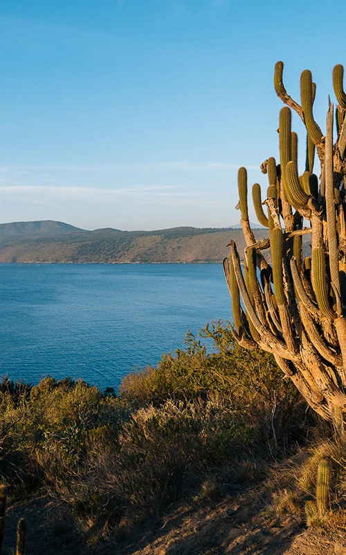 CONOCIENDO LOS DETALLES DEL PLAN MAESTRO EN LAS PALABRAS DEL ARQUITECTO ALBERTO CRUZ.