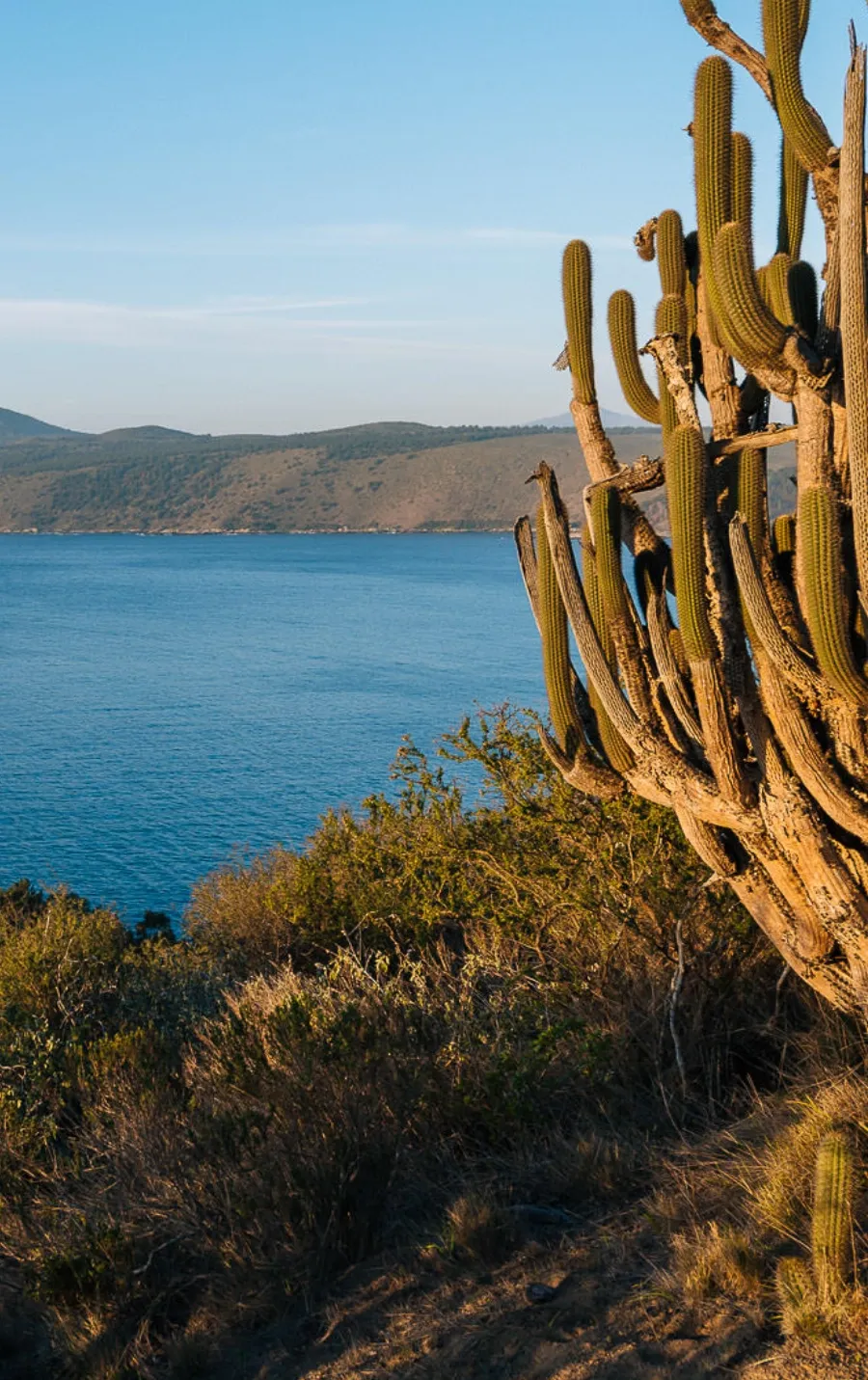 CONOCIENDO LOS DETALLES DEL PLAN MAESTRO EN LAS PALABRAS DEL ARQUITECTO ALBERTO CRUZ.
